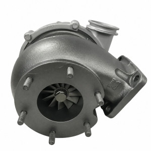 ��������������� BorgWarner 5329-988-7131